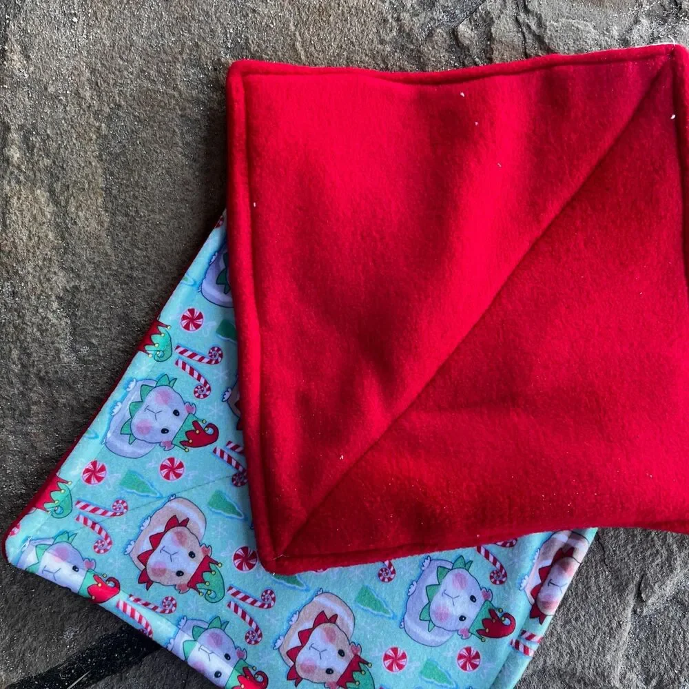 CANDY CANE Piddle Pads 11